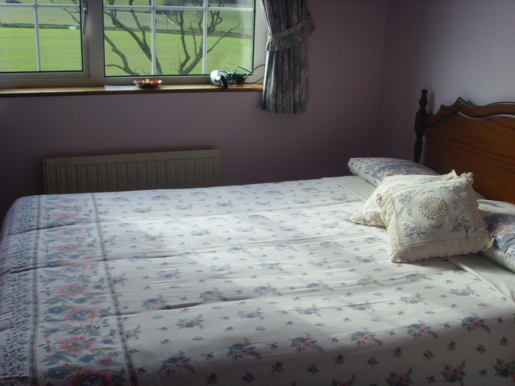 Springfield House B&B Клонакілті Номер фото